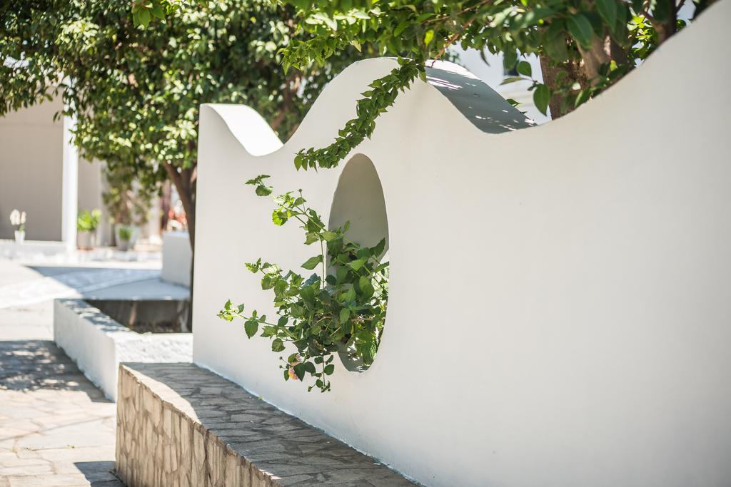 Anika Studios Φαληράκι Εξωτερικό φωτογραφία